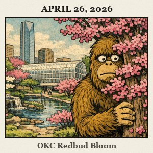 A furry Bigfoot peeks from behind a blooming redbud in a central Oklahoma garden, with pink blossoms and green lawn.