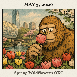 A furry Bigfoot among redbud trees and tulips in Myriad Botanical Gardens; a bee sits on his nose.