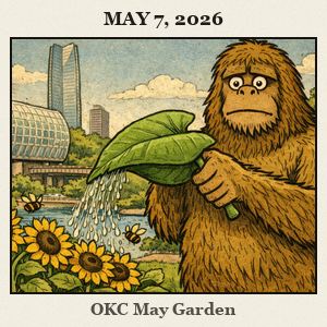 A friendly Bigfoot barefoot and furry waters sunflowers with a giant leaf at the Myriad Gardens in Oklahoma City, bees buzzing nearby.