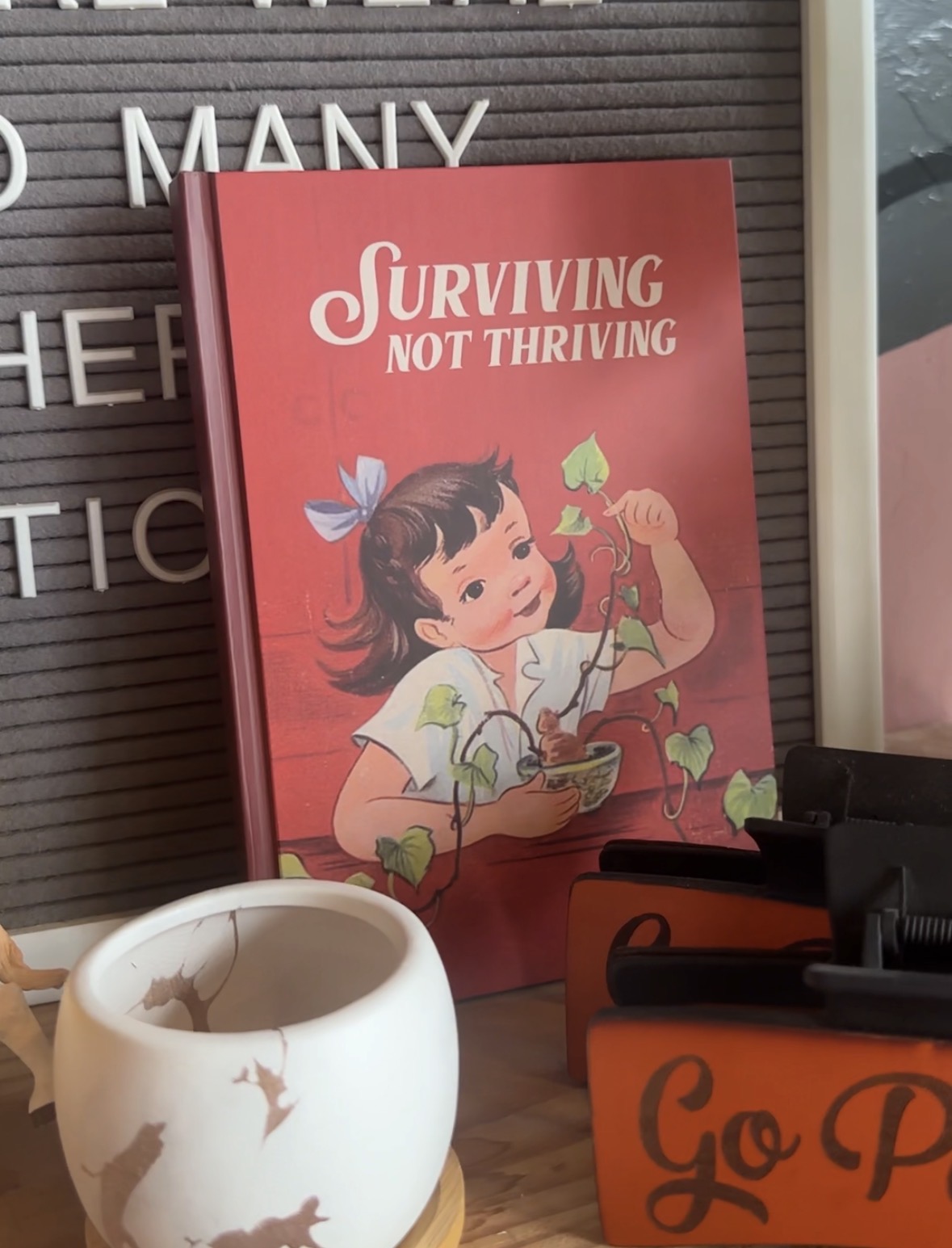 A red Surviving Not Thriving book displayed inside Avery Joes Boutique.