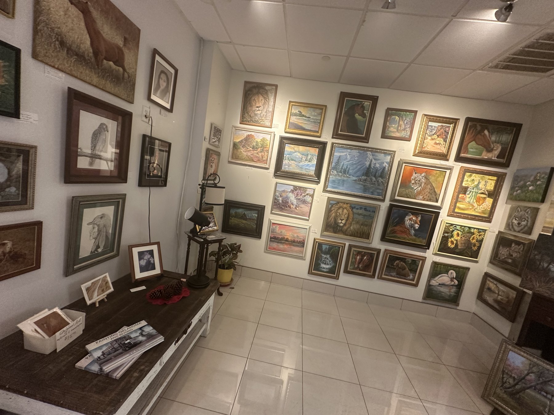 Wall of framed wildlife, landscape, animal, and nature paintings at Art Central Gallery