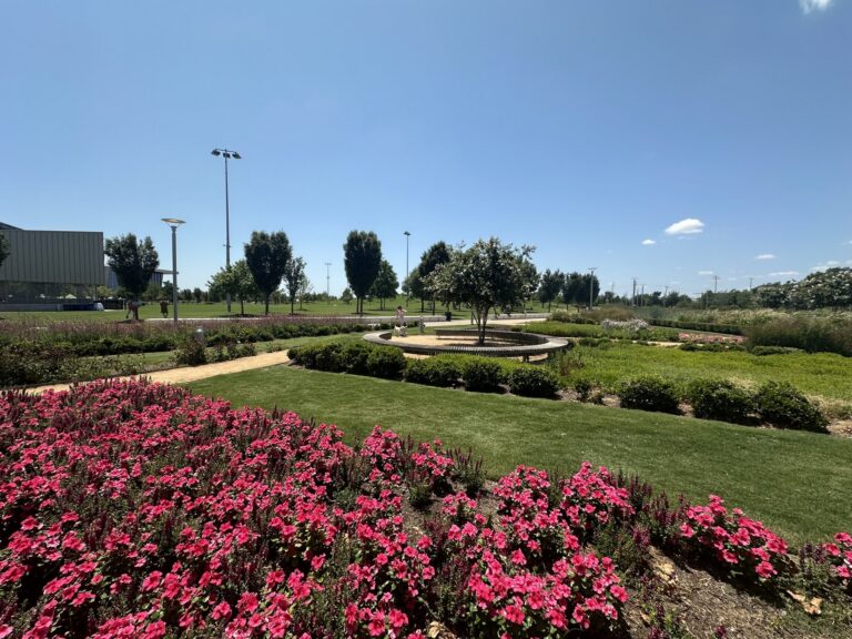 Pink flower beds and landscaped gardens at Scissortail Park in Oklahoma City