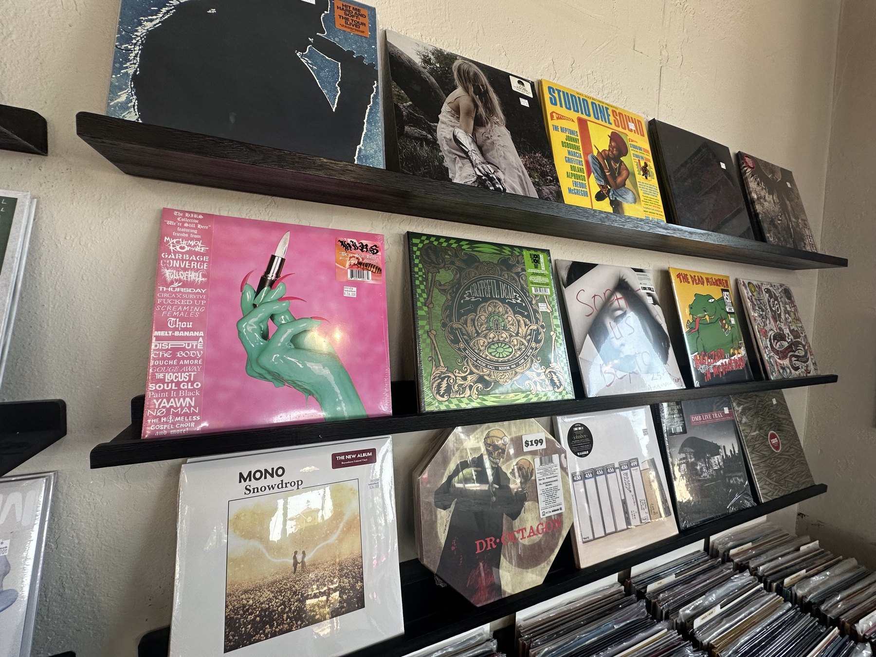 Wall display of new and collectible vinyl records at Guestroom Records Edmond.