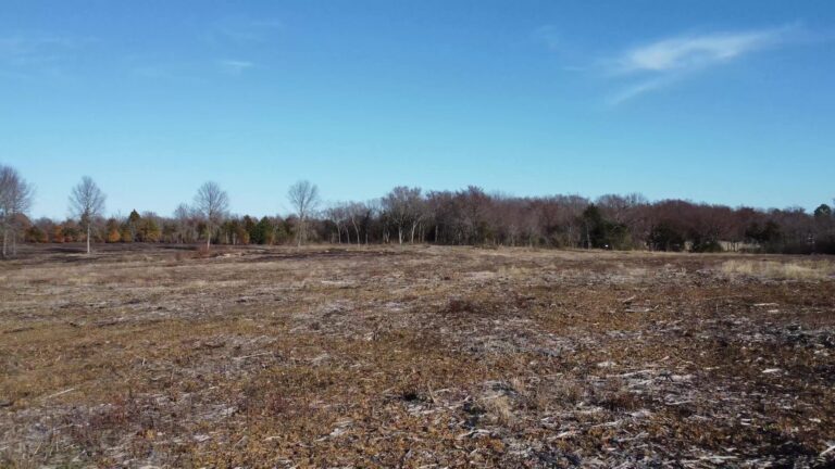 Open field and tree line at Honey Springs Battlefield in Oklahoma.