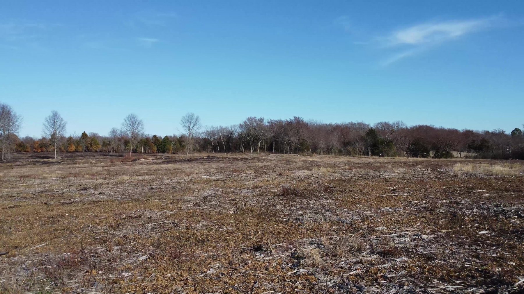 Open field and tree line at Honey Springs Battlefield in Oklahoma.