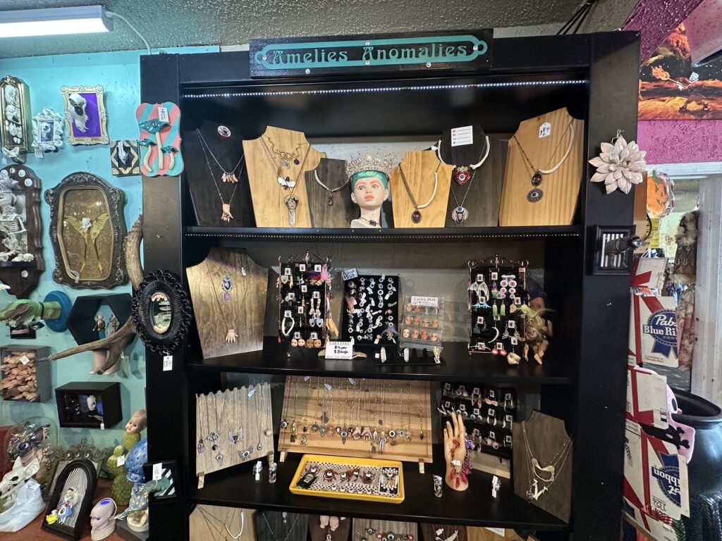 Amelie's Anomalies jewelry and oddities display case inside Dig It in Oklahoma City.
