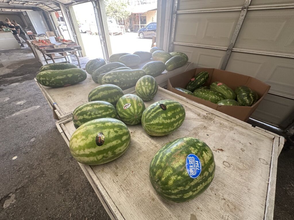 Watermelons displayed on wooden tables inside the Piñata Store produce market.