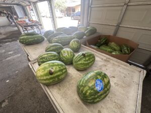 Watermelons displayed on wooden tables inside the Piñata Store produce market.