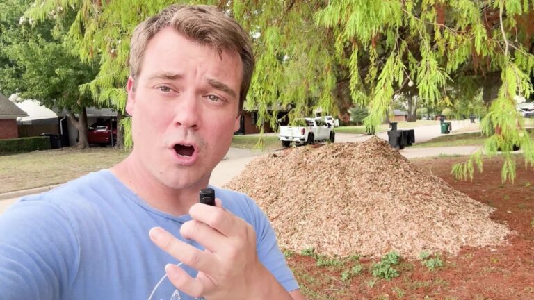 Lance stands beside a full truckload-sized pile of fresh wood chips in the front yard.