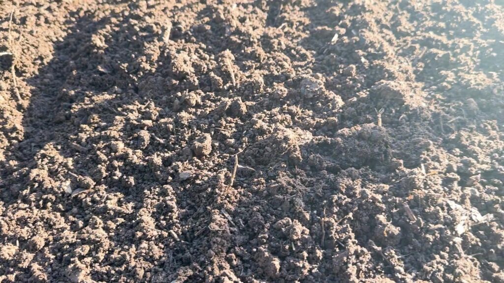 Loose soil in a compost-amended garden bed after two days of rain.