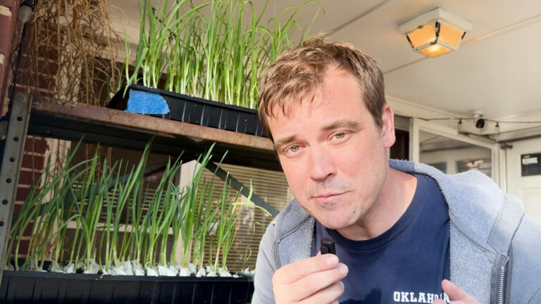 Lance introduces trays of young garlic beside him.